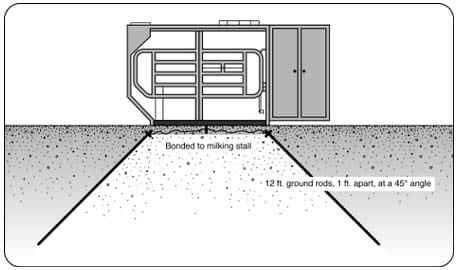 Stray Voltage and Robotic Milking of Dairy Cows - Image 1