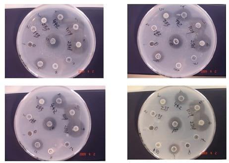 Interactions of phytate and myo-inositol phosphate esters (IP1-5) including IP5 isomers with dietary protein and iron and inhibition of pepsin - Image 11