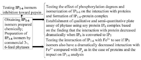 Interactions of phytate and myo-inositol phosphate esters (IP1-5) including IP5 isomers with dietary protein and iron and inhibition of pepsin - Image 2
