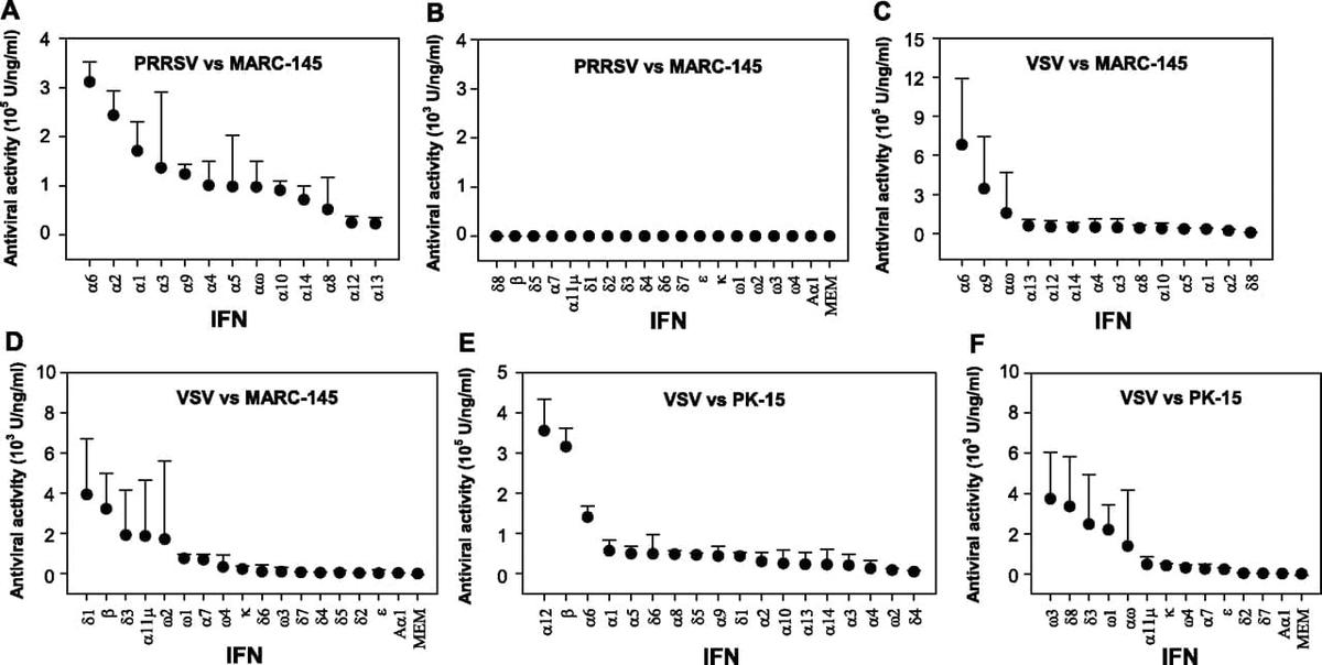 Differential expression and activity of the porcine type I interferon family - Image 10