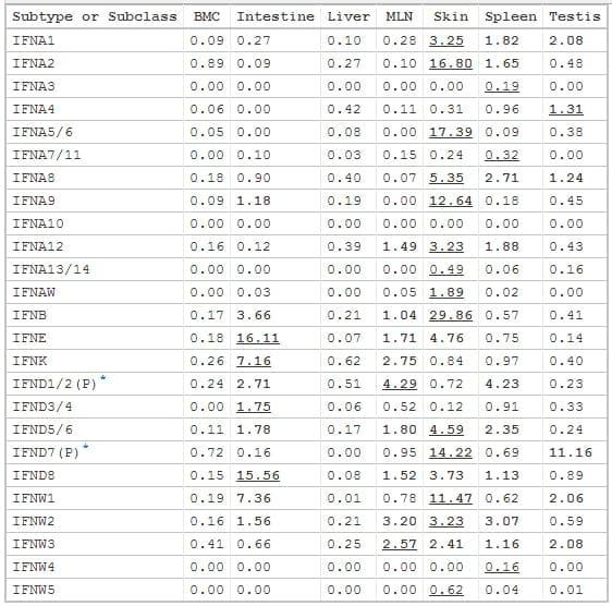 Differential expression and activity of the porcine type I interferon family - Image 7