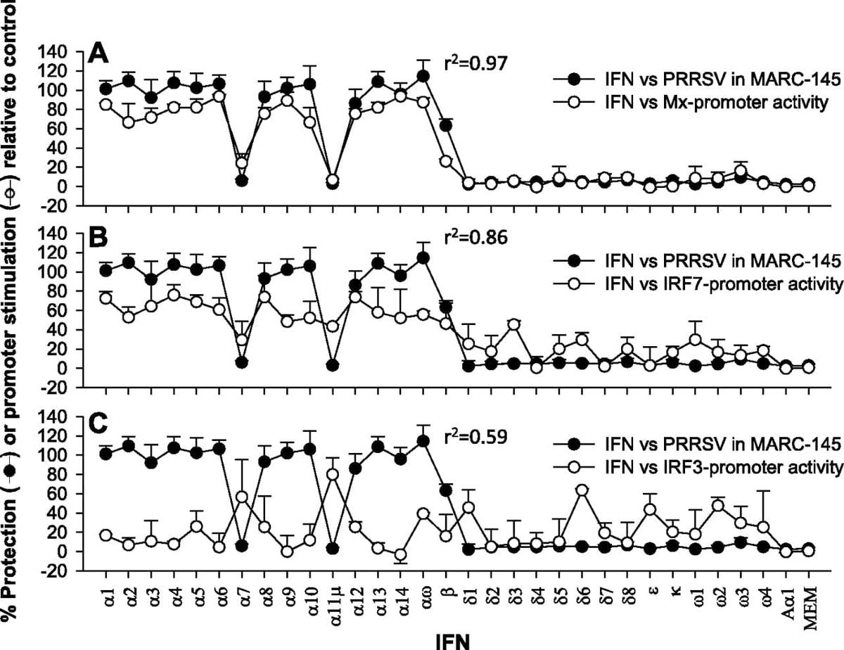 Differential expression and activity of the porcine type I interferon family - Image 12