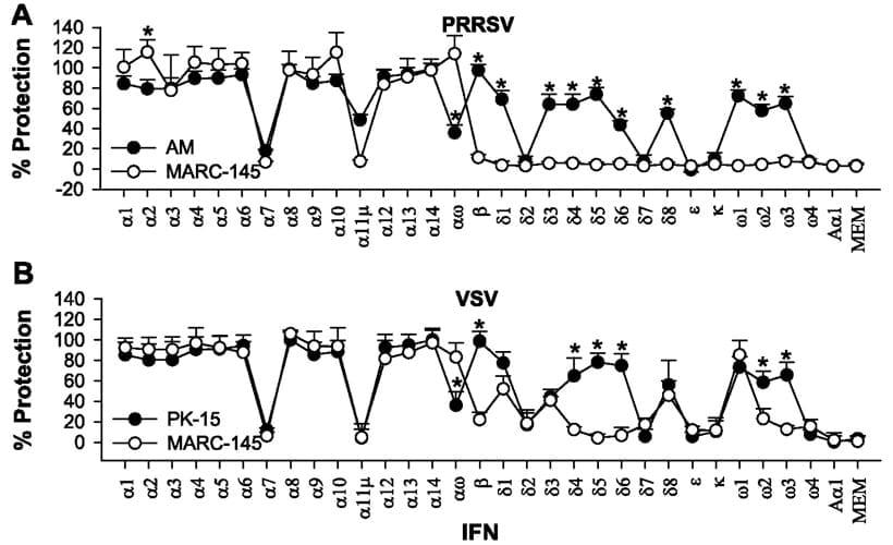 Differential expression and activity of the porcine type I interferon family - Image 8