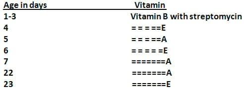 The effect of sex, age and live weight (1) –on the fat deposition and fatty acids in broiler chicks fattened to higher weights. - Image 2