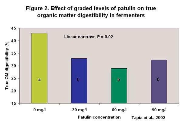 Can Mycotoxins affect Rumen Fermentation? - Image 2
