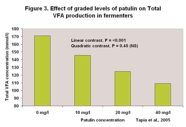 Can Mycotoxins affect Rumen Fermentation? - Image 3