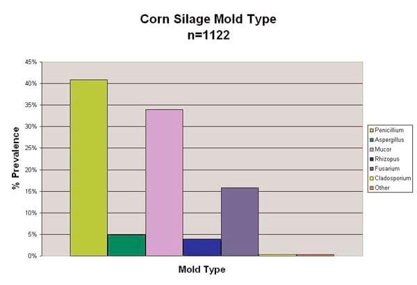 Can Mycotoxins affect Rumen Fermentation? - Image 1