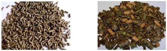 Effect of Mash Feed on the Performance of Growing Rabbits - Image 3