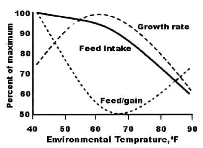 How to Economically Cool Pig Buildings - Image 1