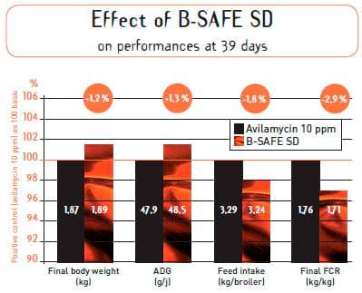 Can we substitute avilamycin by a non medicated solution in broiler production ? - Image 3