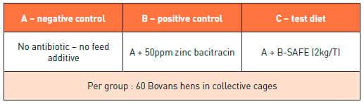 Effects of a patented activated clay on laying hens performances - Image 1