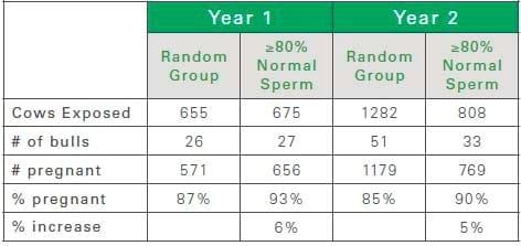 Reproductive Fertility in Herd Bulls - Image 5