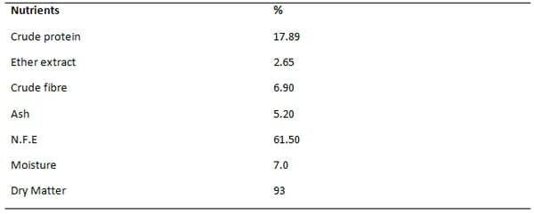 Effect of Dietary Supplementation with Vitamins E and C on the Growth Performance of Weaner Pigs - Image 2