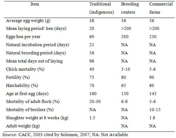 The Status of Indigenous Village Chicken Production and Marketing System in Ethiopia - Image 2