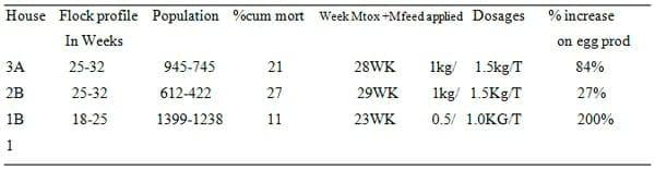 Effect of MTOX + Mfeed Intervention on Performances of Broiler Layer Breeder during an Outbreak of Fowl Cholera in South West Humid Tropics of Nigeria - Image 1