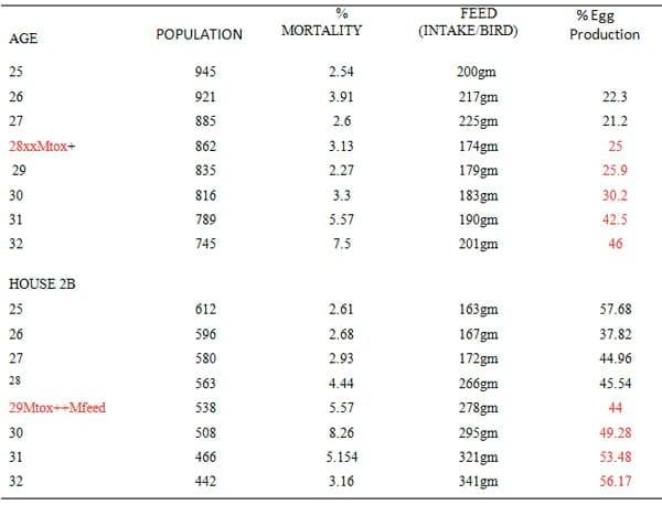 Effect of MTOX + Mfeed Intervention on Performances of Broiler Layer Breeder during an Outbreak of Fowl Cholera in South West Humid Tropics of Nigeria - Image 2