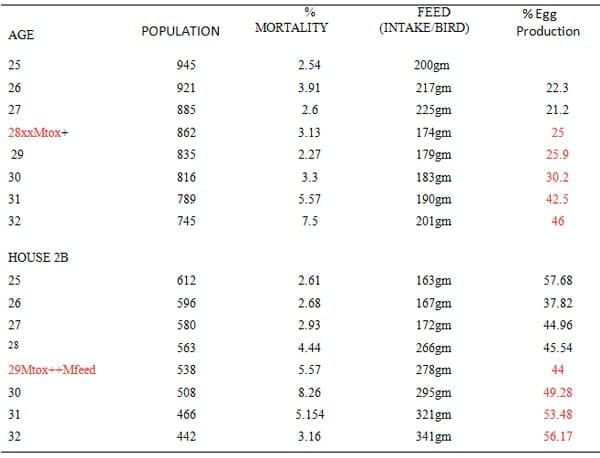 Effect of MTOX + Mfeed Intervention on Performances of Broiler Layer Breeder during an Outbreak of Fowl Cholera in South West Humid Tropics of Nigeria - Image 2