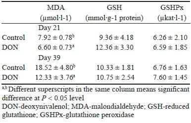 The effect of feeding a diet naturally contaminated with deoxynivalenol on production traits and selected biochemical indicators of broiler chickens - Image 7