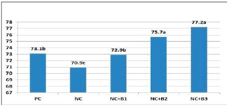 Betaine HCL Improves Carcass Yield in Broilers - Image 2