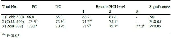 Betaine HCL Improves Carcass Yield in Broilers - Image 1