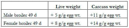 Broiler Breeder Nutrition- Optimizing efficiency and broiler performance - Image 2