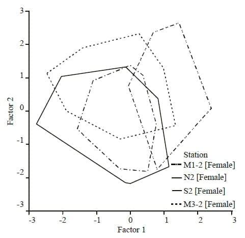 Morphological Differentiation of Artemia urmiana Günther, 1899 (Crustacea: Anostraca) in Different Geographical Stations from the Urmia Lake, Iran - Image 6