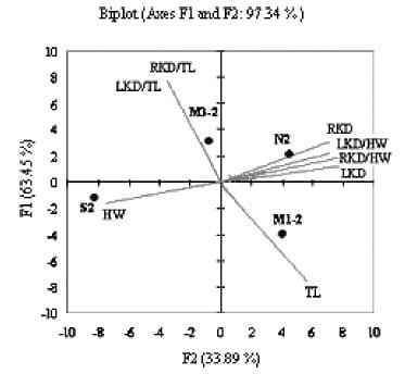 Comparison of the Diameter of the Frontal Knobs in Artemia Urmiana Günther, 1899 (Anostraca) - Image 4