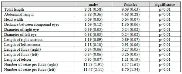 Morphological and biometric characterisation of rare males and sexual dimorphism in parthenogenetic Artemia (Crustacea: Anostraca) - Image 1