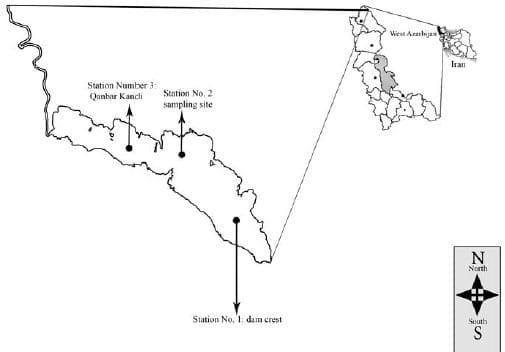 Cyanobacterium Microcystis aeruginosa Bloom in Aras Dam Reservoir - Image 1