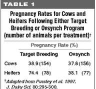 Strategies for Heat Detection and Timing of Artificial Insemination - Image 2