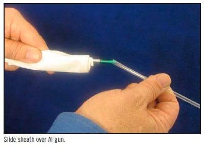 Handling of Frozen Semen Straws - Image 16