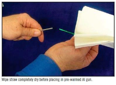 Handling of Frozen Semen Straws - Image 14