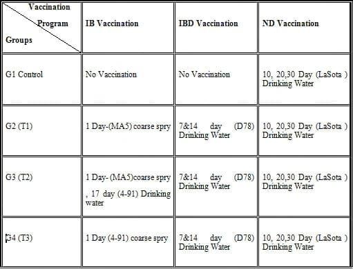 Find the Best Way to Vaccination Against Infectious Bronchitis and Infectious Bursal Disease - Image 2
