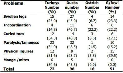 Common Leg Ailment of Poultry in Plateau State, Nigeria - Image 2