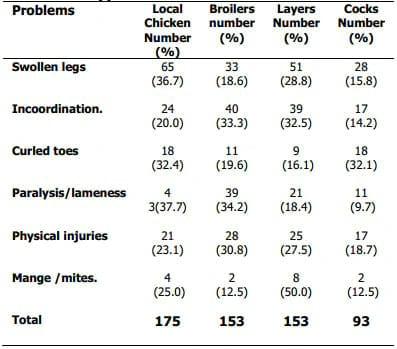 Common Leg Ailment of Poultry in Plateau State, Nigeria - Image 1