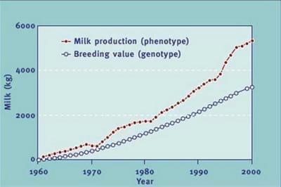 Reproductive Performance in High-producing Dairy Cows: Can We Sustain it Under Current Practice?-Part I - Image 6