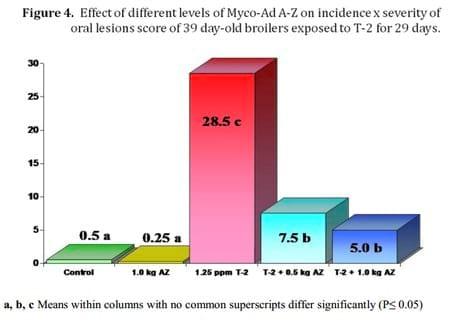 Low Dosage Efficacy of a Commercial Purified Phylosilicate to Reduce the Toxicity of T-2 Toxin in Broilers - Image 5