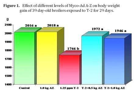 Low Dosage Efficacy of a Commercial Purified Phylosilicate to Reduce the Toxicity of T-2 Toxin in Broilers - Image 2