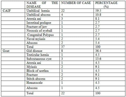 Prevalence of Common Surgical Affections in Calves and Goat at Jhenidah Sadar - Image 1
