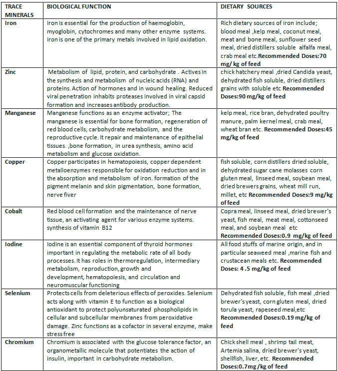 Importance and Optimizing Trace Minerals in Shrimp/Fish Nutrition for Development of Immunity - Image 1