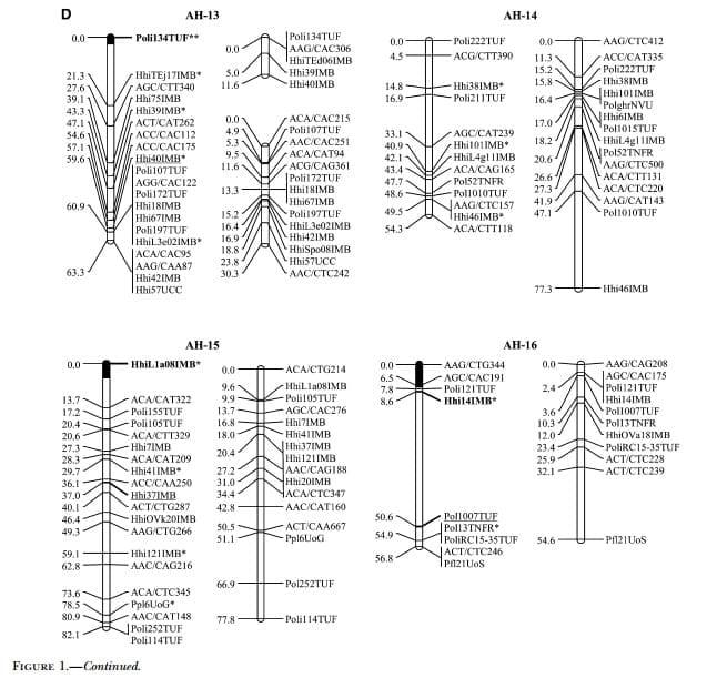 A Genetic Linkage Map of Atlantic Halibut (Hippoglossus hippoglossus L.) - Image 10