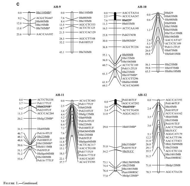 A Genetic Linkage Map of Atlantic Halibut (Hippoglossus hippoglossus L.) - Image 8