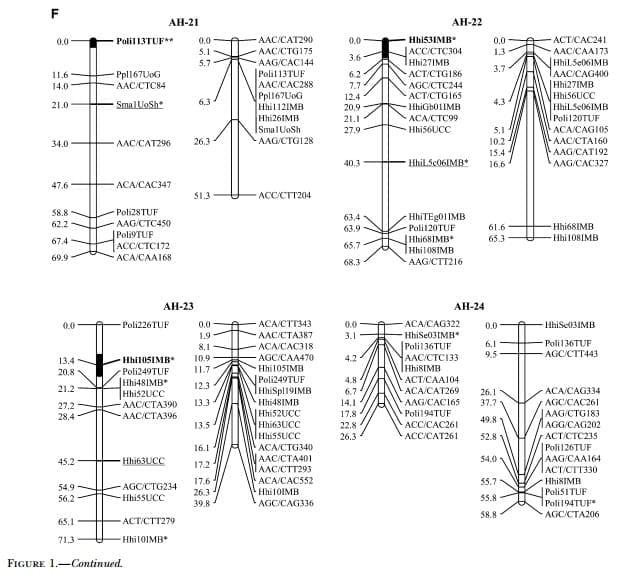 A Genetic Linkage Map of Atlantic Halibut (Hippoglossus hippoglossus L.) - Image 19