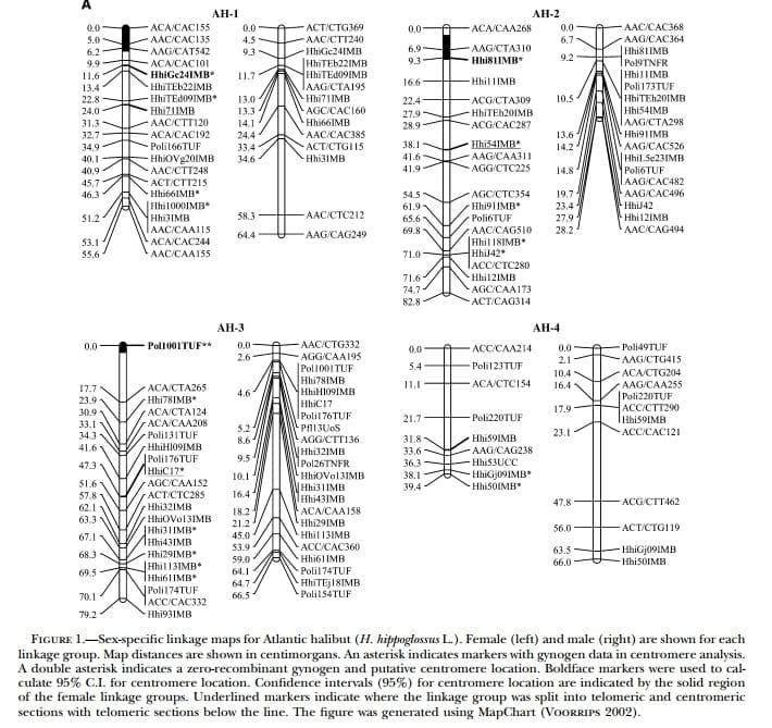 A Genetic Linkage Map of Atlantic Halibut (Hippoglossus hippoglossus L.) - Image 4