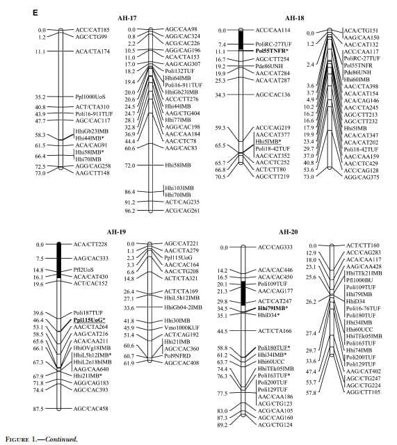 A Genetic Linkage Map of Atlantic Halibut (Hippoglossus hippoglossus L.) - Image 16