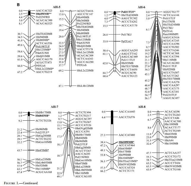 A Genetic Linkage Map of Atlantic Halibut (Hippoglossus hippoglossus L.) - Image 6