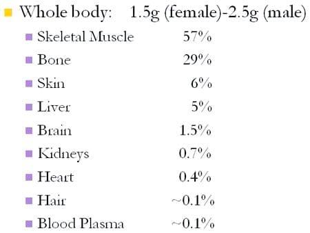 The Importance of Zinc in Animal Health - Image 4