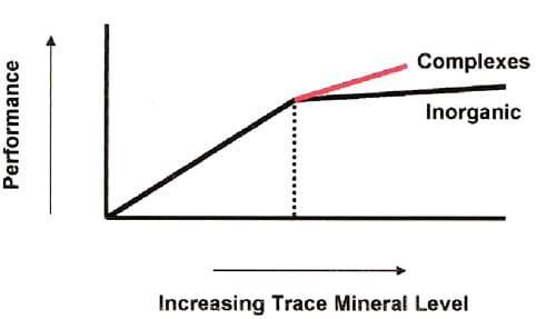 The Importance of Zinc in Animal Health - Image 6