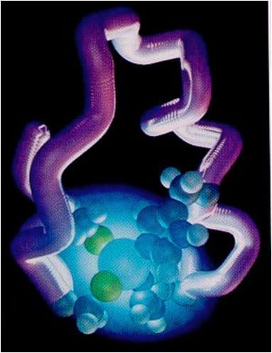 The Importance of Zinc in Animal Health - Image 14