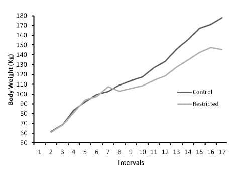 Limiting Concentrate During Growing Period Affect Performance and Gene Expression of Hepatic Gluconeogenic Enzymes and Visfatin in Korean Native Beef Calves - Image 6
